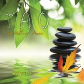 Tao: A Path of Peace artwork