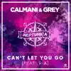 Can't Let You Go (feat. Ria) - Single album lyrics, reviews, download