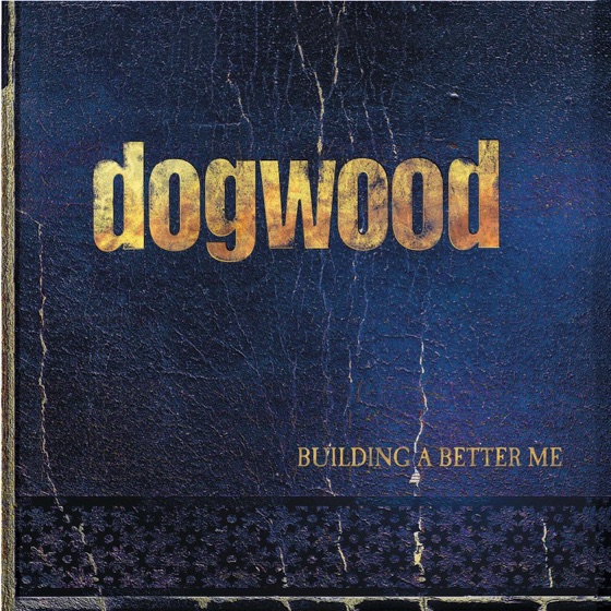 Cover artwork for Nothing New