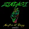 Zindagi - Single album lyrics, reviews, download