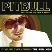 Give Me Everything (feat. Afrojack & Ne-Yo) [Apster Remix] artwork