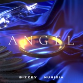 Angel (feat. Numidia) artwork