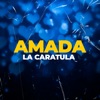 Amada (En Vivo) - Single, 2020