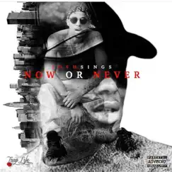 Now or Never - Single by Josh Sings album reviews, ratings, credits