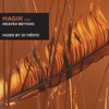 Twilight - Platina (Maurits Paardekooper Remix)