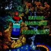 Nature Makonnen - Judgement