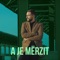 A Je Merzit artwork