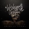 Do you hear (feat. Tim Bush) - Antwaun Cooks lyrics