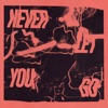 Never Let You Go - Single