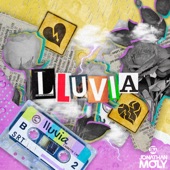 LLUVIA artwork