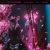 Blossoms (feat. Vava & Troop Brand) - Single album lyrics, reviews, download