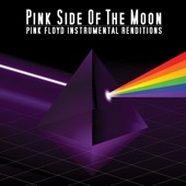 Pink Side Of The Moon - Is There Anybody Out There?