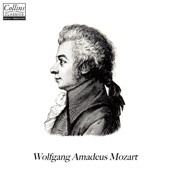 Wolfgang Amadeus Mozart - Horn Concerto No. 1 in D major, K.412: I. Allegro
