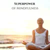 Superpower of Mindfulness album lyrics, reviews, download
