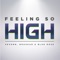 Feeling So High (Extended Mix) - Sevenn, Bhaskar & Blue Rose lyrics