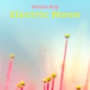 Electric Moon - Single