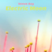 Electric Moon artwork