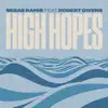 High Hopes (feat. Robert Owens) - Single album lyrics, reviews, download