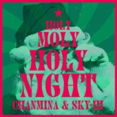 Holy Moly Holy Night artwork