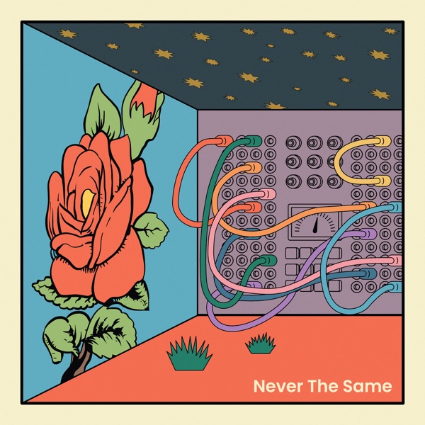 STRFKR - Never The Same | LetsLoop