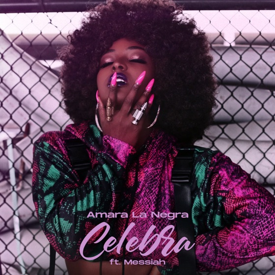 Cover artwork for Celebra (feat. Messiah)