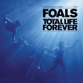 Foals - Black Gold