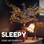 Sleepy (Piano Instrumental) - EP artwork