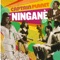 Ningane (feat. Fredy Massamba) artwork