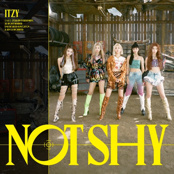 Cover artwork for Not Shy (English Ver.)