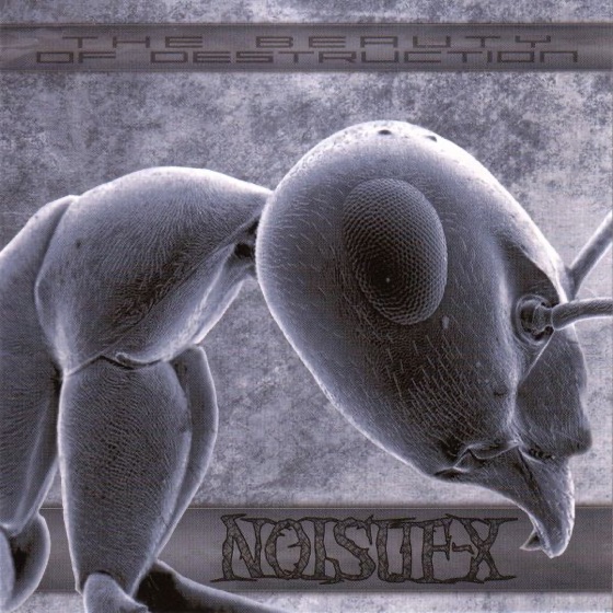 Cover artwork for Chaos