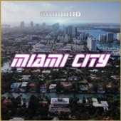 Miami City artwork