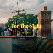 For the Night (Robin Yerah Remix) [feat. Robin Yerah] artwork