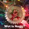Wot Is Nogg (feat. Shelby Bryant) - Single album lyrics, reviews, download