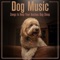 Soft Bed - Dog Music Dreams, Dog Music & Dog Music Therapy lyrics