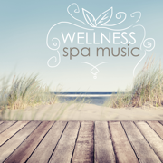 Wellness - Spa Music for Relaxation, Massage, Beauty, Sleep, Deep Mindfulness Meditation, Yoga Healing and Well-Being - Wellness