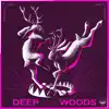 Stream & download Deep in the Woods - Single