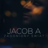 Zagoniony świat (Radio Edit) - Single