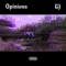 Opinions - GJ lyrics