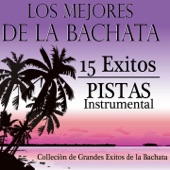 Los Mejores de la Bachata : 15 Éxitos (Pistas Instrumental) artwork