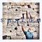 Frequency (feat. Sabotaj) - Respect Theartist lyrics