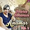 Boleros Bohemios Vol.1