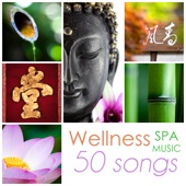 Wellness Spa Music - Beauty Center Calming Background Ambient Collection, 50 Songs artwork