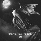 Can You See The Light artwork