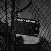 Dead Echo - Violence