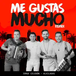 Me Gustas Mucho (feat. Alkilados) [Remix] Song Lyrics