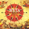 Weta - Eggface