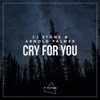 CJ Stone - Cry For You