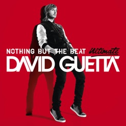NOTHING BUT THE BEAT cover art