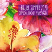 Figura Summer 2020 (compiled & mixed by Ivan Starzev) artwork