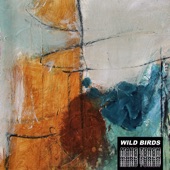 Wild Birds artwork